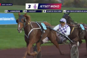 Jetset Moko